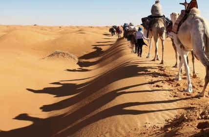 Vier individuelle Afrikareisen: Wandern, Safari, Genuss und Kamelabenteuer (Foto: Wikinger Reisen)