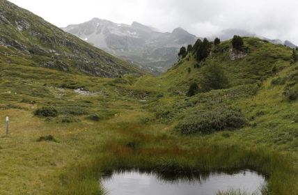 Goldene Wälder erleben und regionale Traditionen im herbstlichen (Foto: Ticino Turismo)